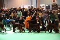 Crufts2010 1433